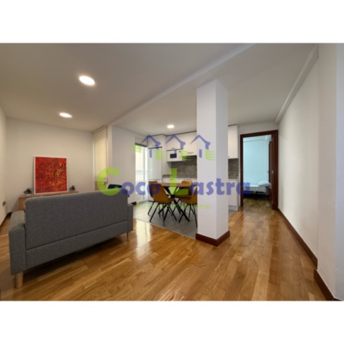 Salón-cocina